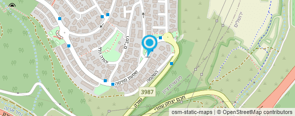 מפת הגעה אל איריס וינטג'