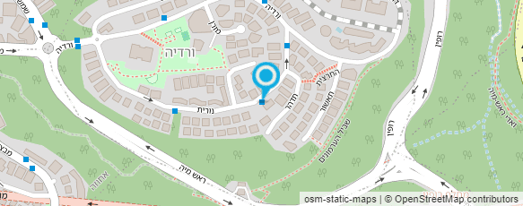 מפת הגעה אל ד"ר רעיה אלישביץ