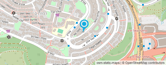 מפת הגעה אל לאה שוורצמן