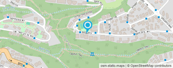 מפת הגעה אל ורוניקה שפיץ - דולה