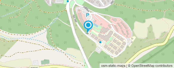 מפת הגעה אל טובי ירושלים בשורש-בית אבות