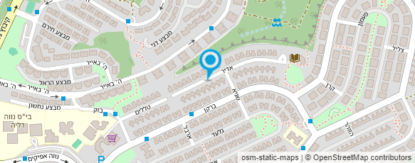 מפת הגעה אל נוימן אורלי