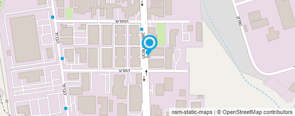 מפת הגעה אל עץ וצבע