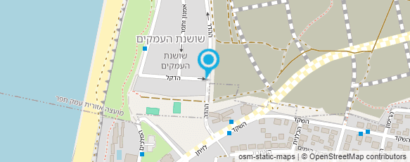 מפת הגעה אל גלריה דור