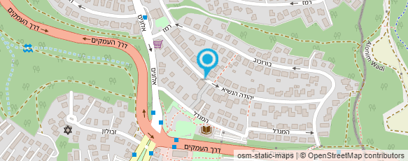 מפת הגעה אל אילנה סרוגו M.A.