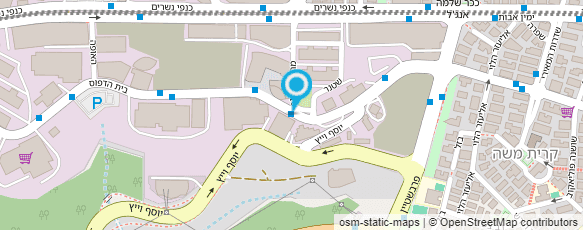 מפת הגעה אל בזאר שטראוס