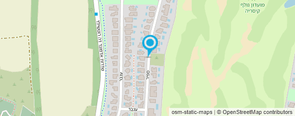 מפת הגעה אל דולב שחם בע"מ