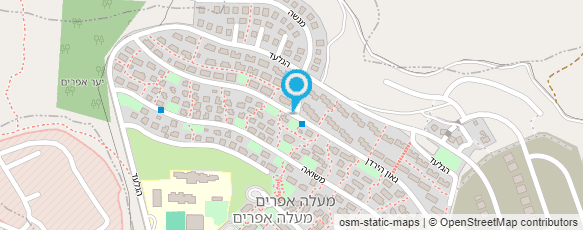 מפת הגעה אל שוש גרינברג ליווי סוכרתיים