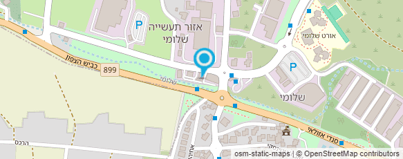 מפת הגעה אל פיצה רון