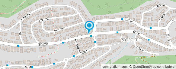 מפת הגעה אל עודד הנדל