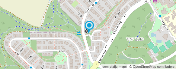 מפת הגעה אל אירנה לויט