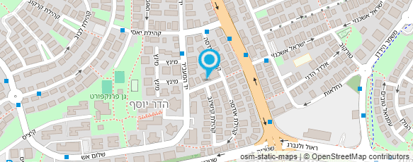 מפת הגעה אל ד"ר רעיה אריאל