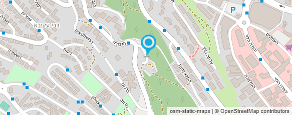 מפת הגעה אל ילנה צלוקי עיסוי מקצועי