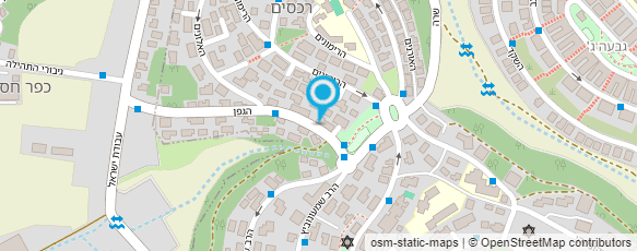 מפת הגעה אל כבוד שבת - חנות דגים