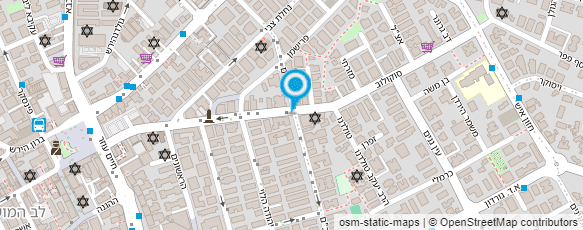 מפת הגעה אל לריסה סמולנסקי-מורה לציור