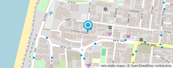 מפת הגעה אל לוינשטיין בשר ודגים