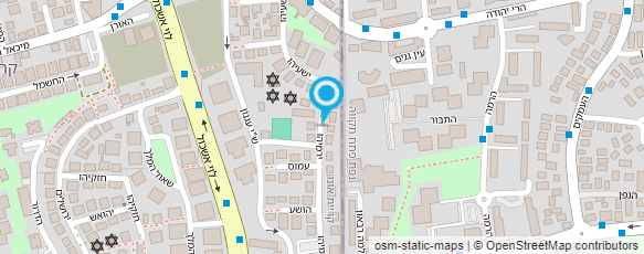 מפת הגעה אל משפחתון וצהרון השושנים