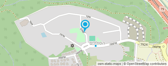 מפת הגעה אל עדי אלזם- מטפל בשיטת אילן לב