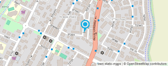 מפת הגעה אל ריקי גוזלן- RIKI CARE