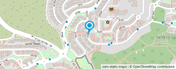 מפת הגעה אל מיכל דוד אומנות היופי