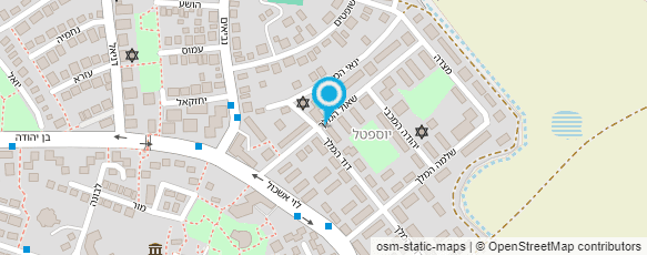 מפת הגעה אל ויטלי שיפוצים