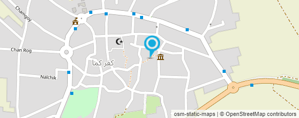 מפת הגעה אל מכון שינילה