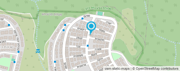 מפת הגעה אל אומנות הצבע-עידן דרעי