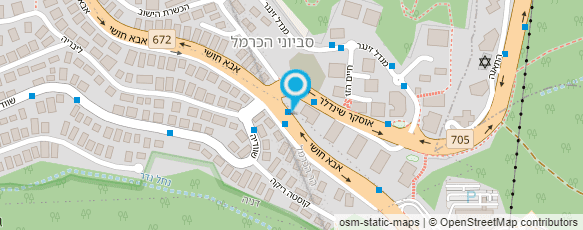 מפת הגעה אל מגדלי דוד