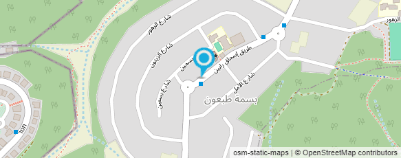 מפת הגעה אל ד"ר איאד סעדי