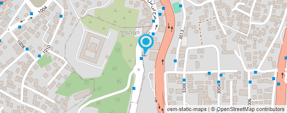 מפת הגעה אל ד"ר בוריס ספיאניק