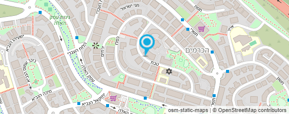 מפת הגעה אל קלאודיה ויסברג ליבנה