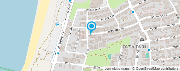 מפת הגעה אל האריה בניית אתרים