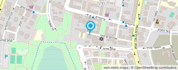 מפת הגעה אל ד"ר בוריס ברונשטיין