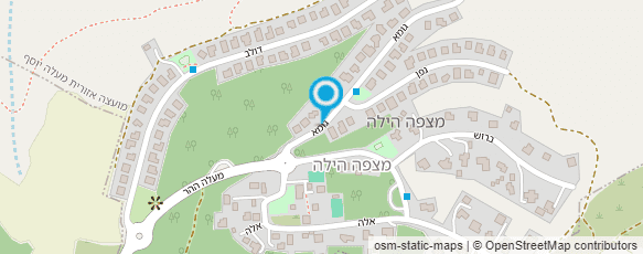 מפת הגעה אל אורי אלכס דיאטן קליני