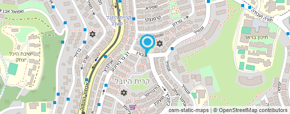 מפת הגעה אל בועז פרלשטיין צלם