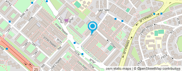 מפת הגעה אל דוד פלדמר צלם