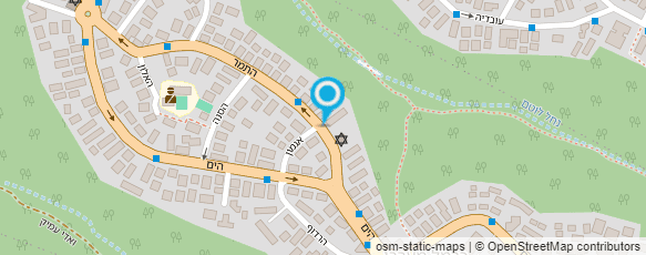 מפת הגעה אל עו"ד ומגשרת  אלפסי מרים מור