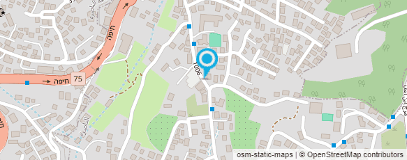 מפת הגעה אל ד"ר אמין חסן