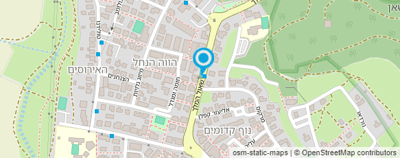 מפת הגעה אל שלי נייל דיזיין