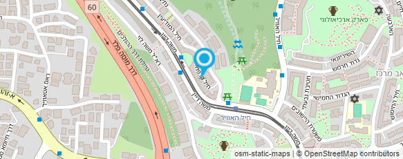 מפת הגעה אל ד"ר שטיינבאום ריקרדו