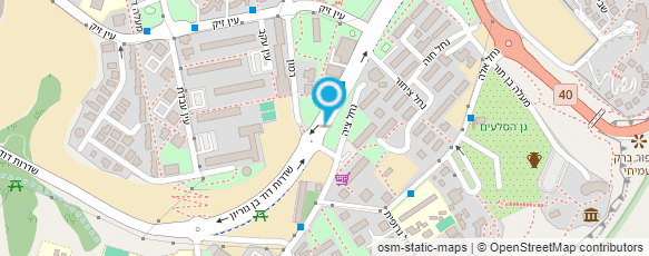 מפת הגעה אל איריס לוי עיסוי שוודי לנשים ולזוגות