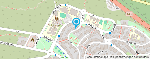 מפת הגעה אל IRIS nails