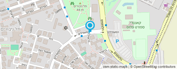 מפת הגעה אל נס השמת בכירים בע"מ