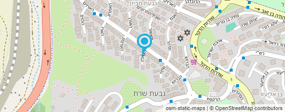 מפת הגעה אל אלינה וסרמן - אימון אישי