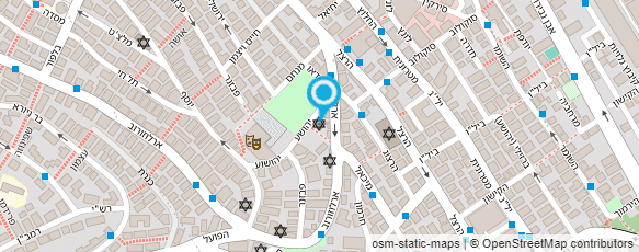 מפת הגעה אל יוליה ברזינה