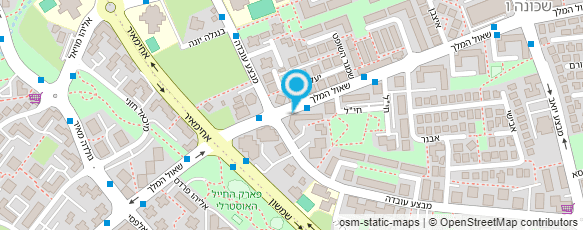 מפת הגעה אל מכולת שאול המלך