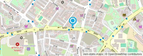 מפת הגעה אל ד"ר ספיווק אירנה