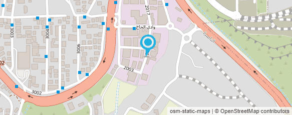 מפת הגעה אל ד"ר רומיו - אסתטיקה ועיניים