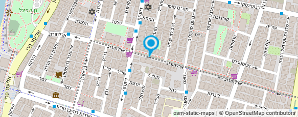 מפת הגעה אל liora style artist