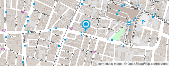 מפת הגעה אל המתווכים REALTORS